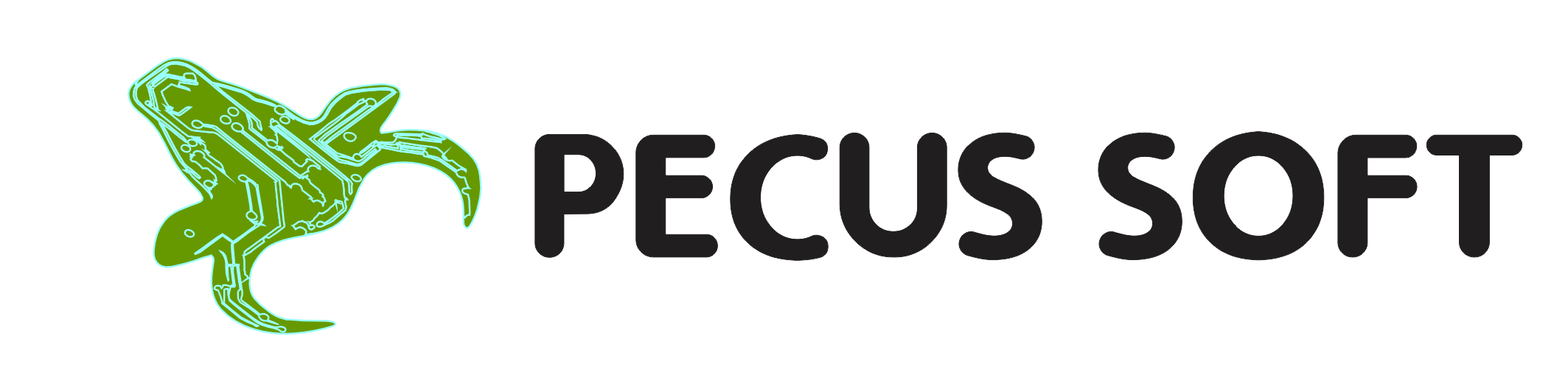 Logo do sistema Pecus Soft